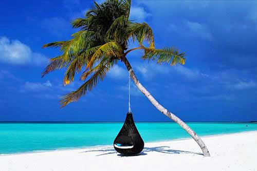 Winter Special Tour Packages Launched